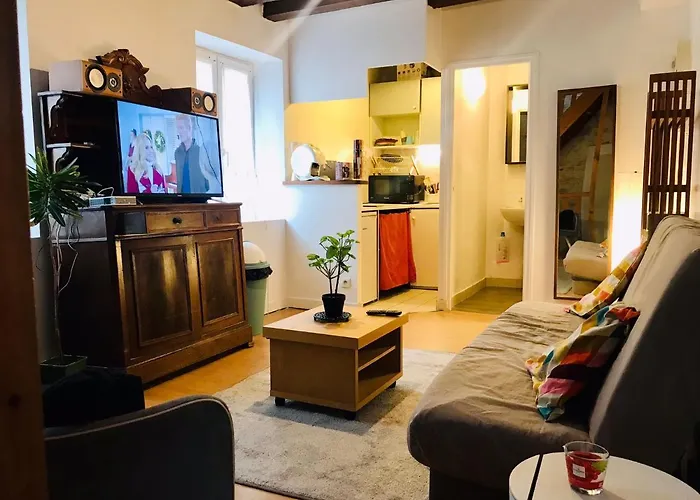 Lovely Duplex In The Center Of Fontainebleau